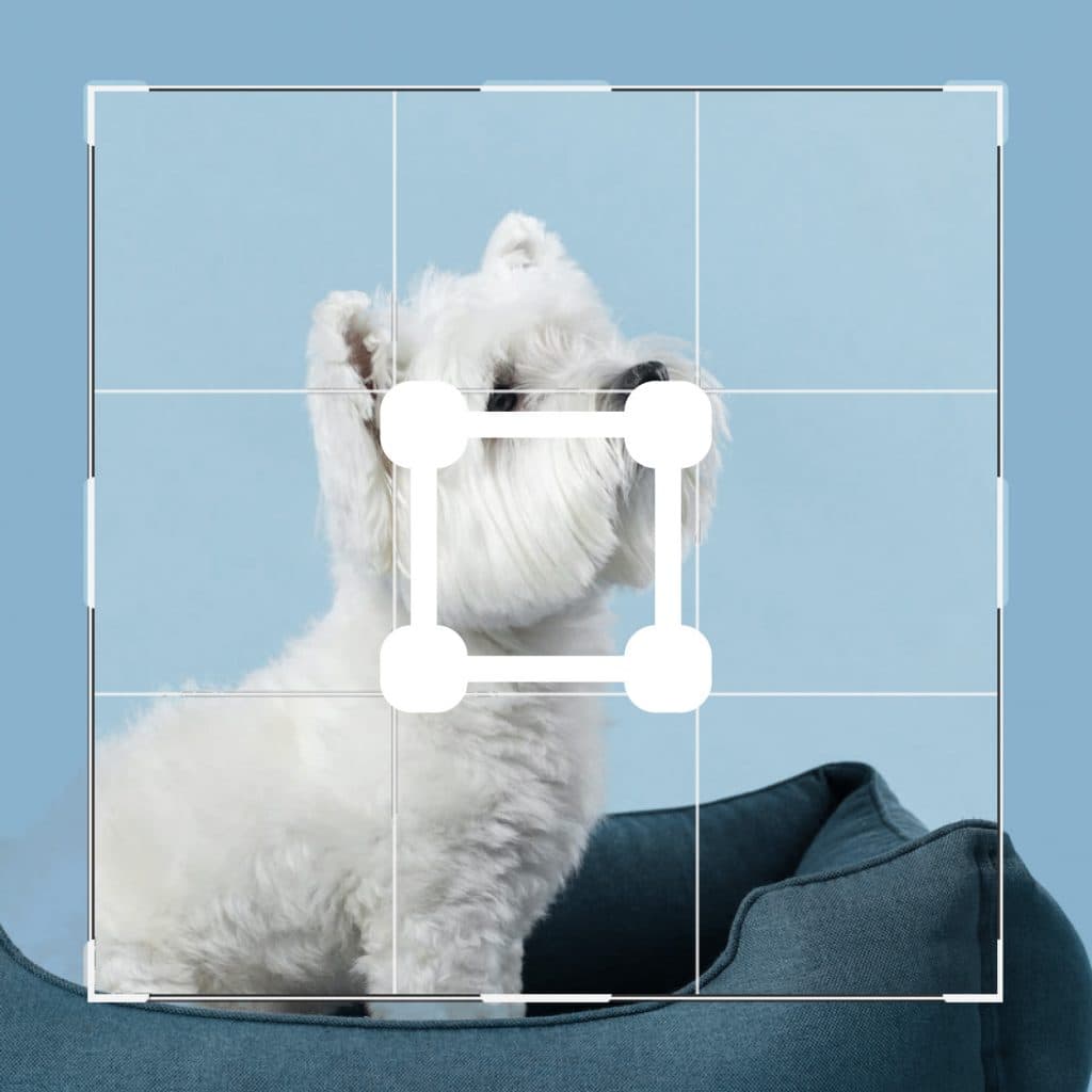 Beskär, ändra storlek & rotera